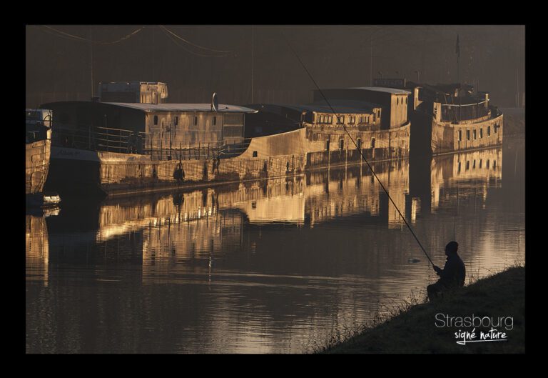 Canal de la Marne au Rhin à Strasbourg