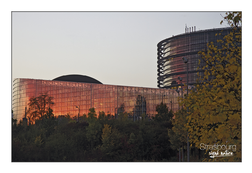Parlement Européen à Strasbourg