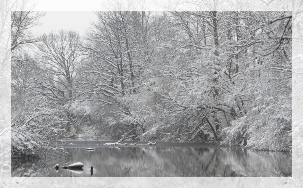 Bras mort du Rhin sous la neige