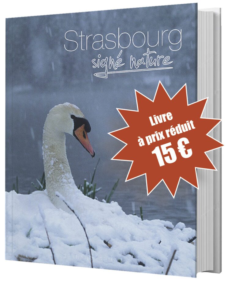 Strasbourg signé nature