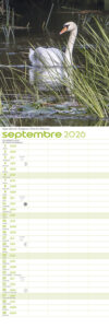 calendrier_2026_147_443_robertsau_signe_nature10