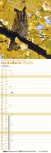 calendrier_2026_147_443_robertsau_signe_nature11