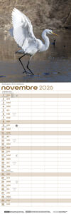 calendrier_2026_147_443_robertsau_signe_nature12