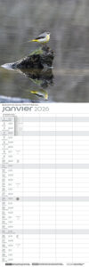 calendrier_2026_147_443_robertsau_signe_nature2