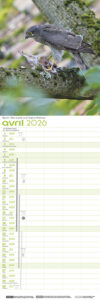 calendrier_2026_147_443_robertsau_signe_nature5