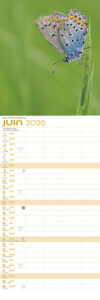 calendrier_2026_147_443_robertsau_signe_nature7